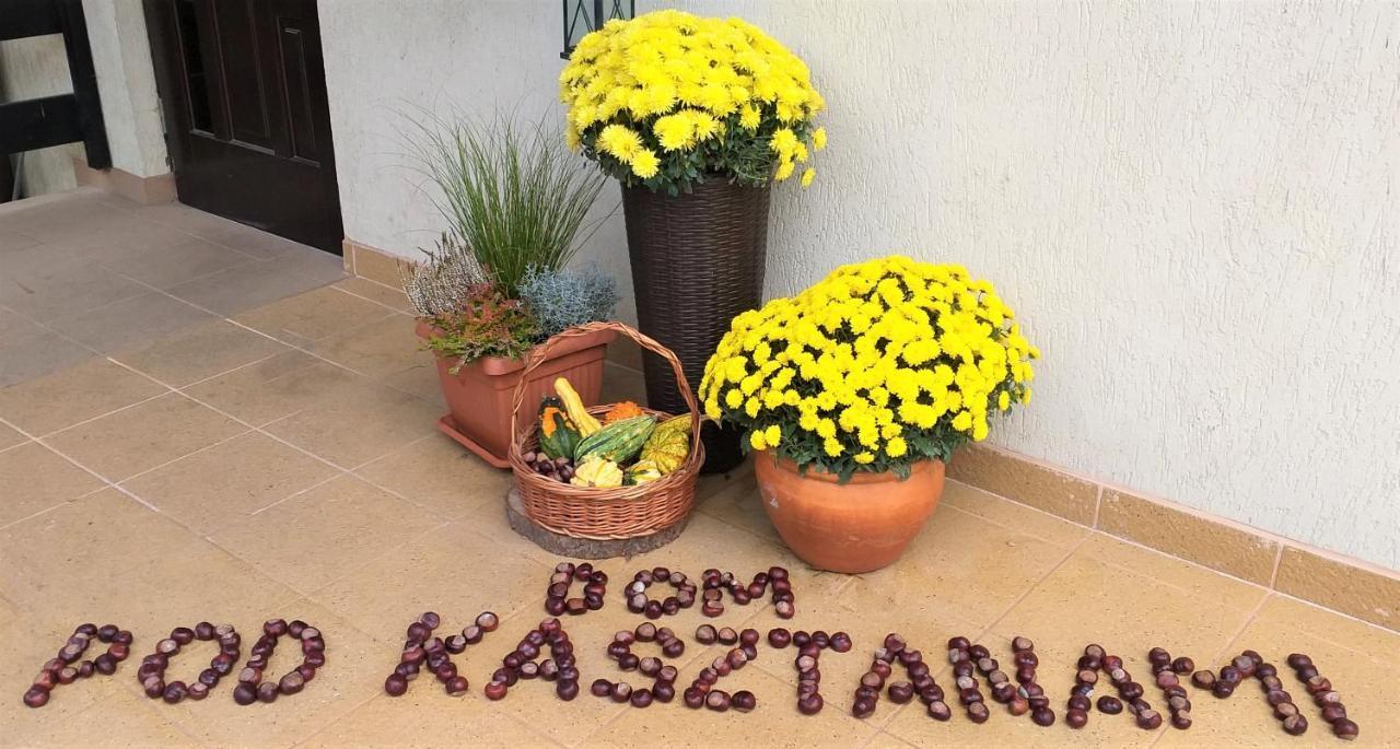 Dom Pod Kasztanami Apartment Kazimierz Dolny Exterior photo